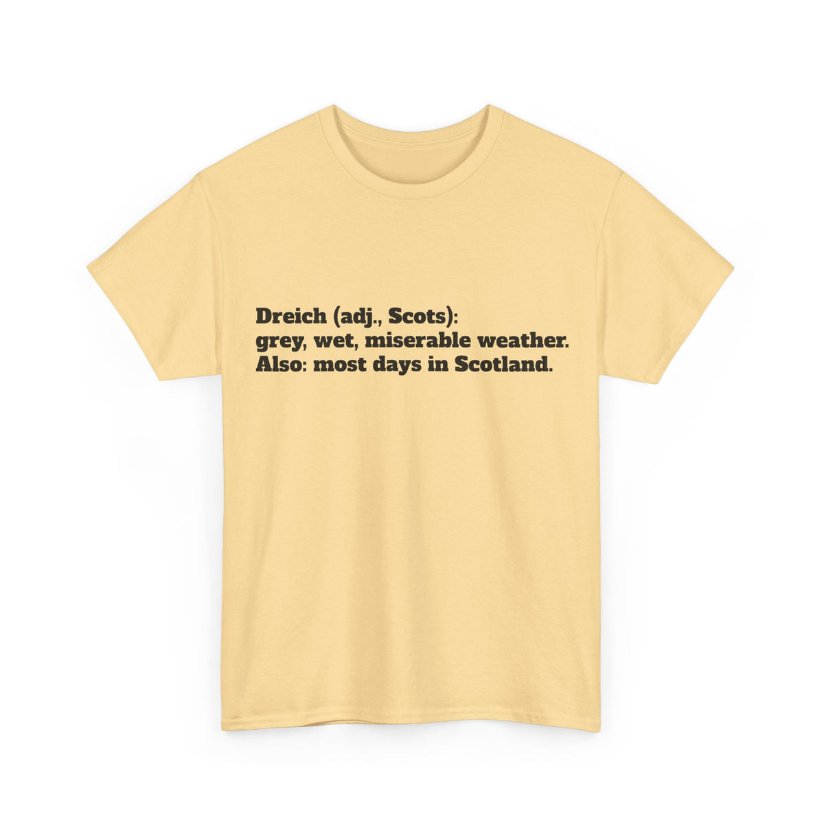 The Dreich Definition Tee