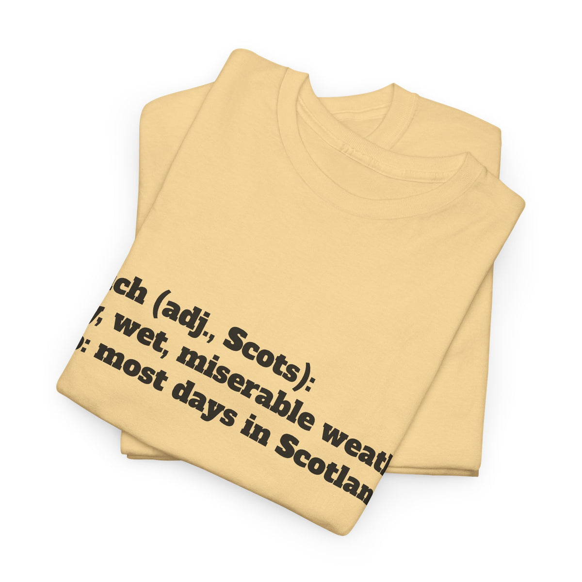 The Dreich Definition Tee
