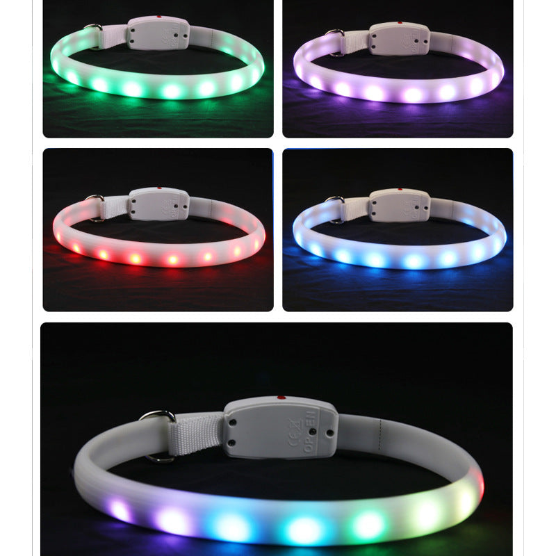 The Dark Days Light-Up Collar