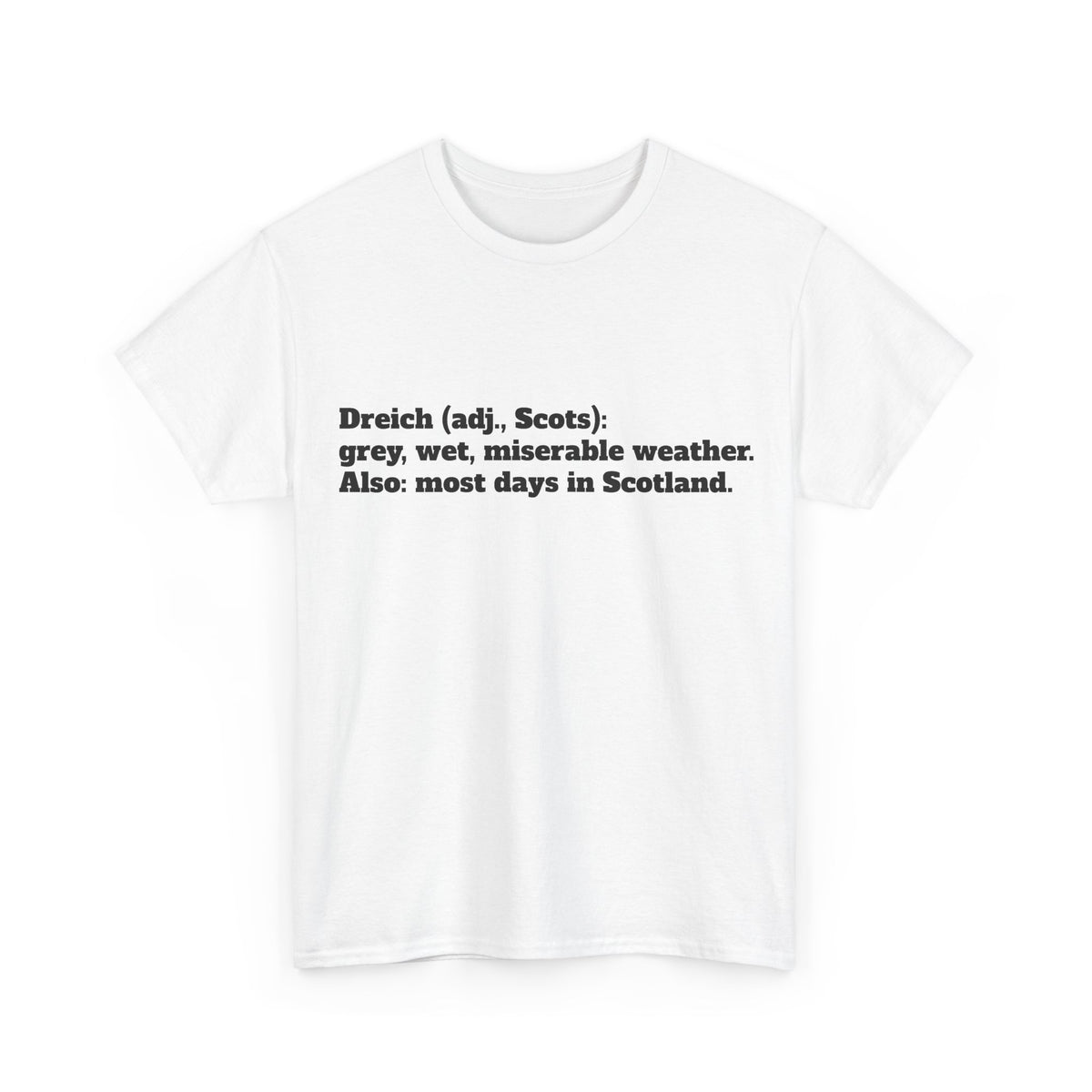 The Dreich Definition Tee