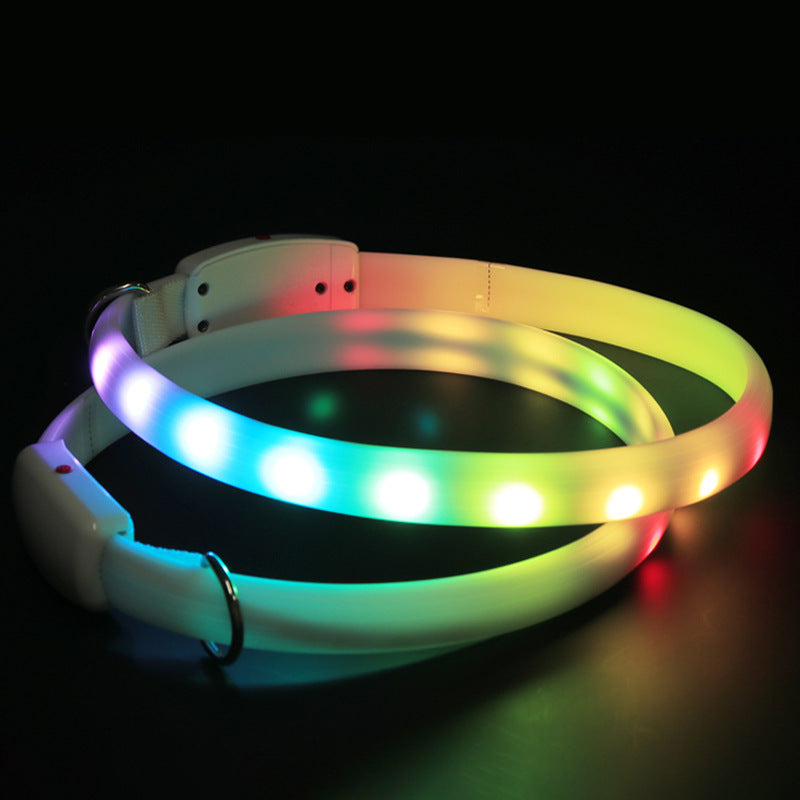The Dark Days Light-Up Collar
