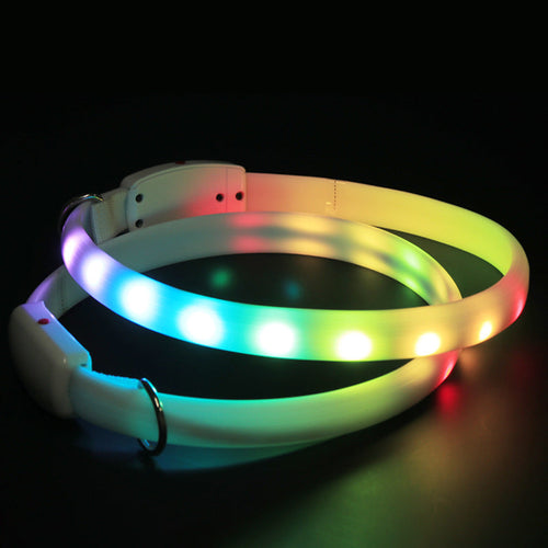 The Dark Days Light-Up Collar