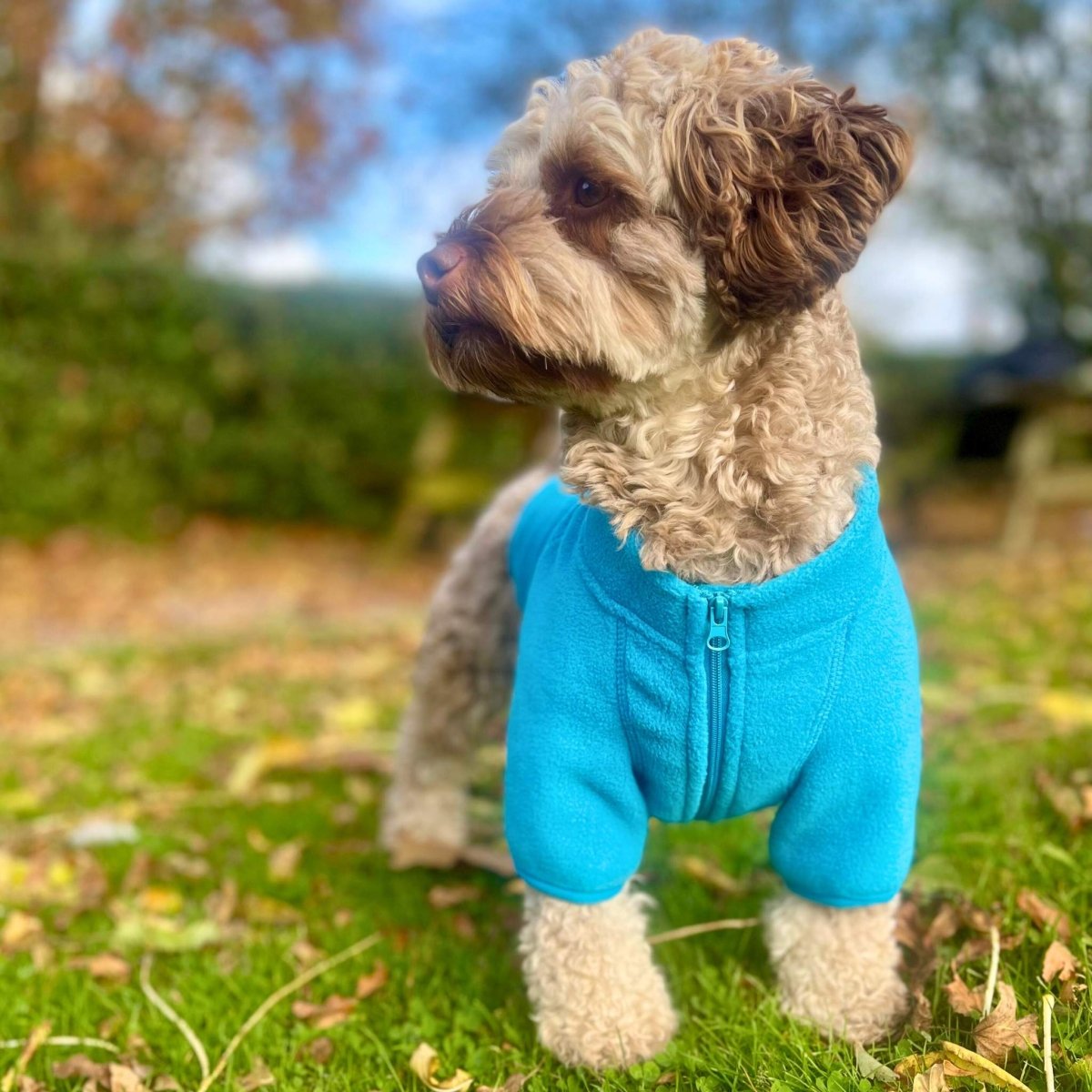 The Hoolie Fleece – Blue