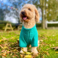 The Hoolie Fleece – Green
