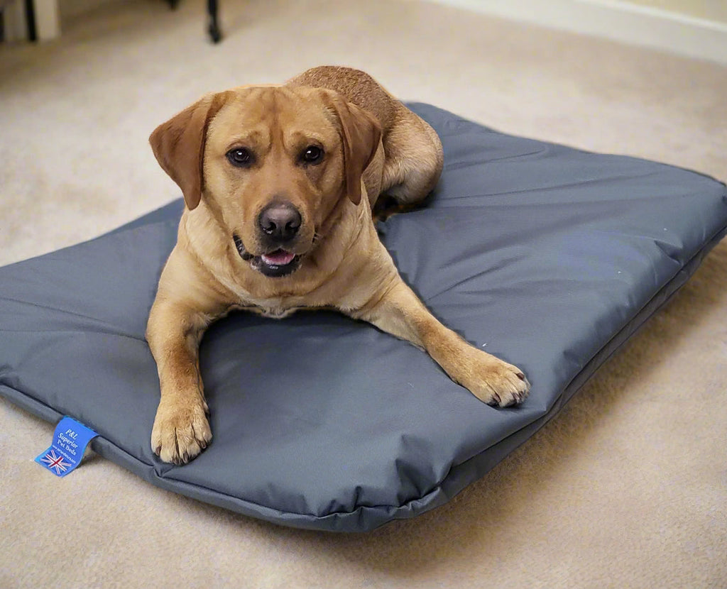 The Kip Duvet Bed – Waterproof