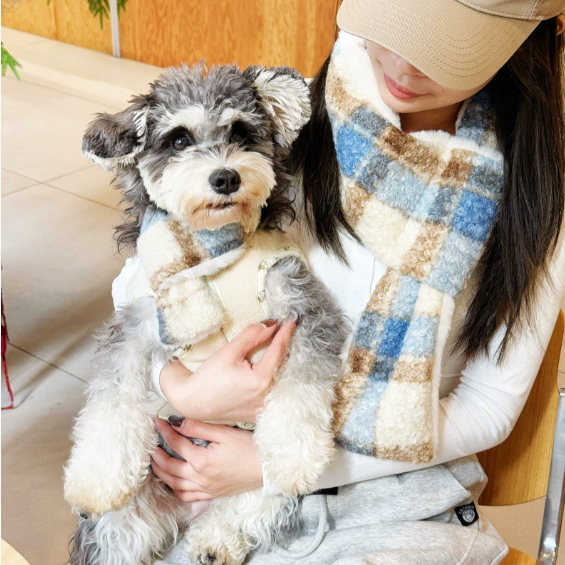 The Hoolie Scarf Set – Dog & Owner