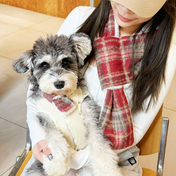 The Hoolie Scarf Set – Dog & Owner