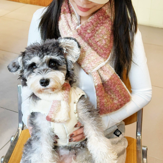 The Hoolie Scarf Set – Dog & Owner
