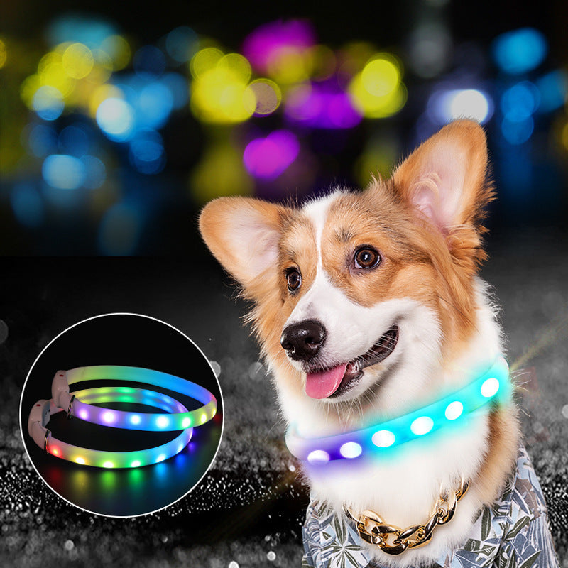 The Dark Days Light-Up Collar