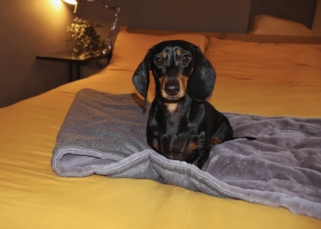 The Balmoral Blanket – Herringbone & Faux Fur