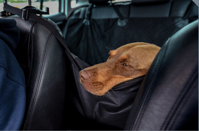 The Muddy Mutt Car Seat Cover