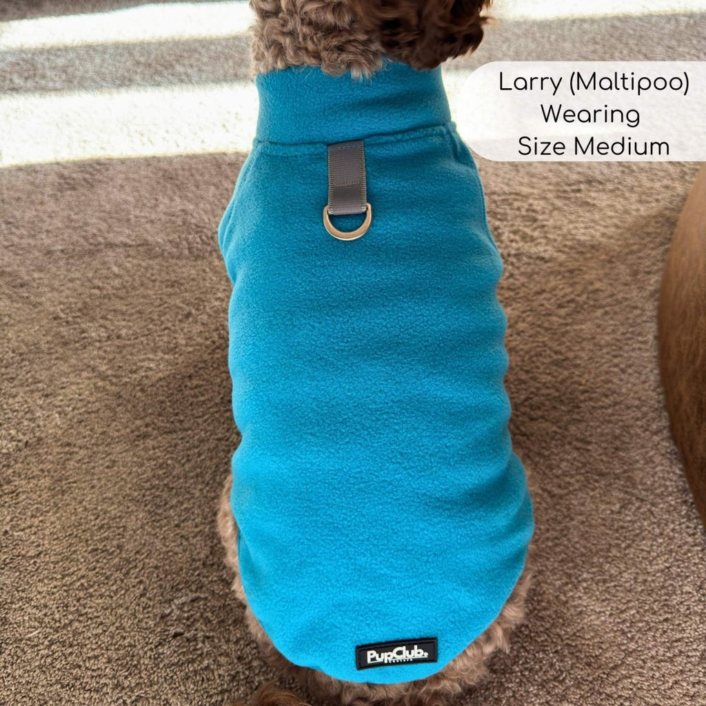 The Hoolie Fleece – Blue
