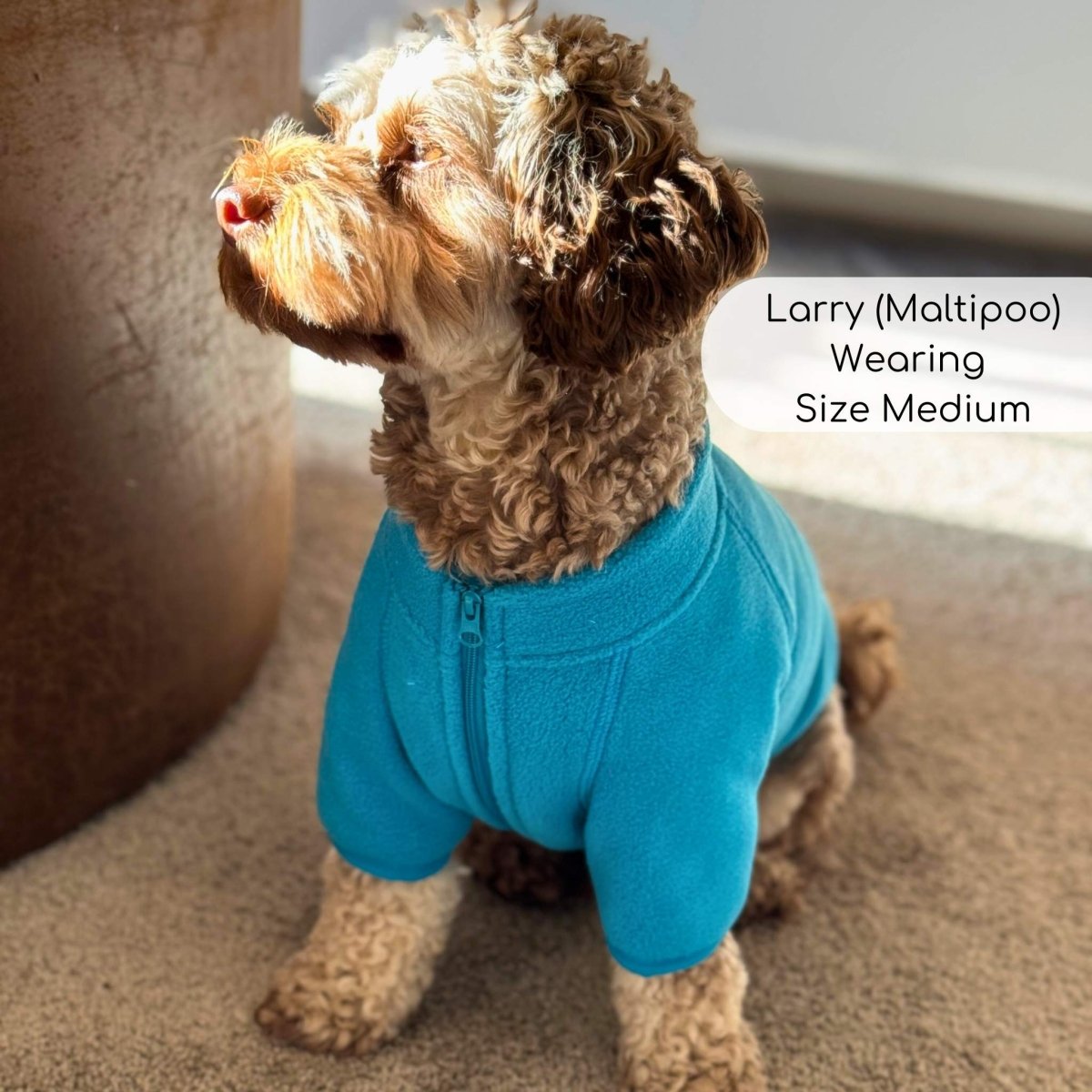 The Hoolie Fleece – Blue