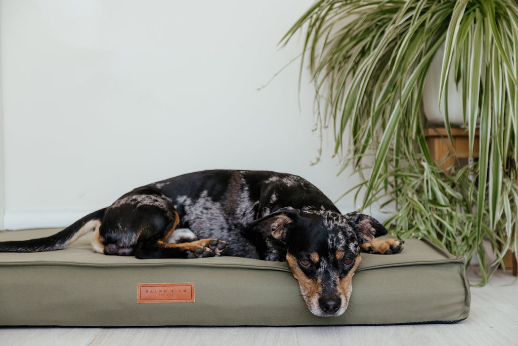The Ingle Bed – Waterproof Memory Foam